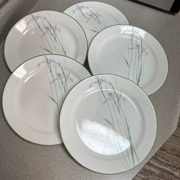 🌸 Set of 5 Corelle Impressions 10-1/4-Inch Dinner Plates, Shadow Iris - Picture 1 of 5